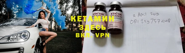 сатива Аркадак