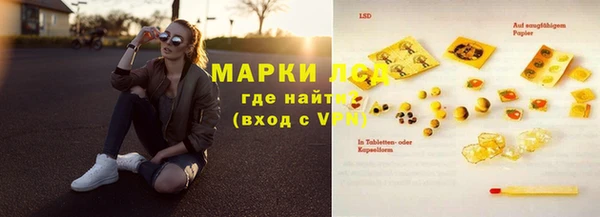 сатива Аркадак