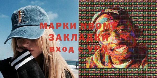индика Баксан