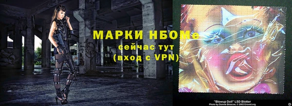 сатива Аркадак