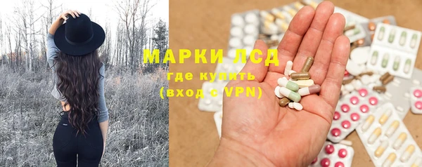 сатива Аркадак