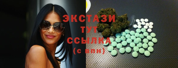 индика Баксан